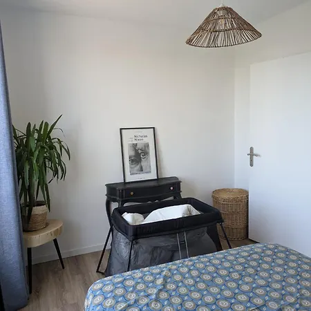 Une Chambre A Louer Dans Un Bel Appartement تولوز